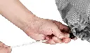 O1CN01nSFymn27uYeRYuD6P_!!4163067857-0-cib.webp